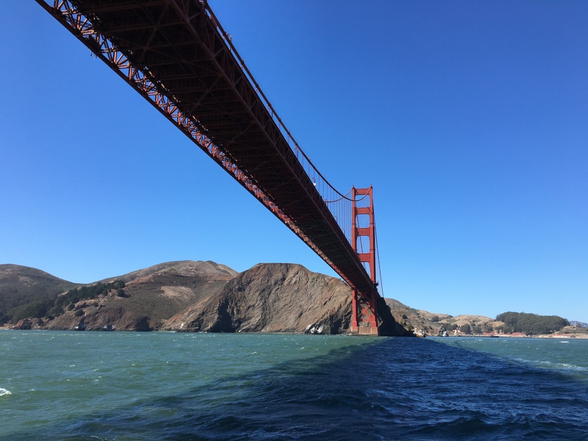 San Francisco: Redwoods, Bike Tours, and Crab&nbsp;Dinners