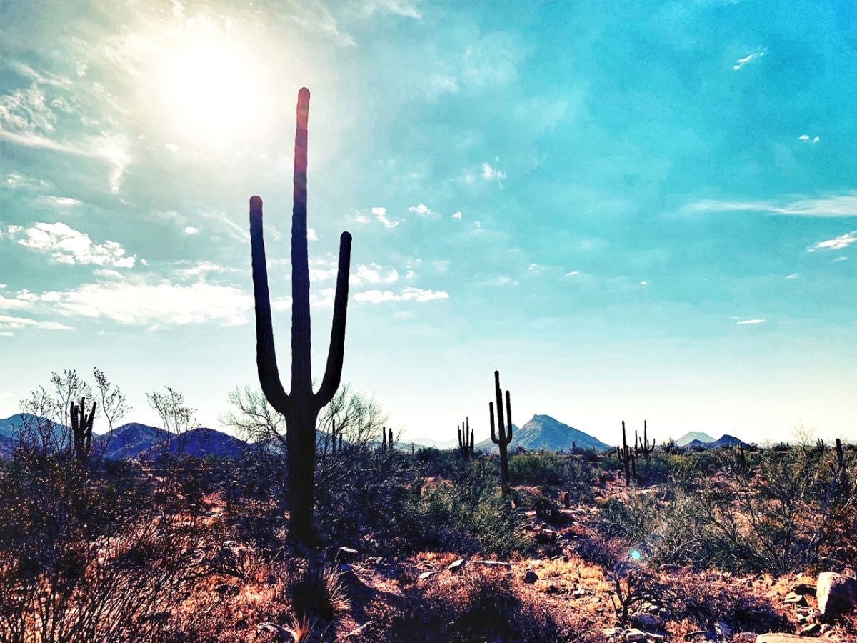 Arizona: My Place For&nbsp;Healing