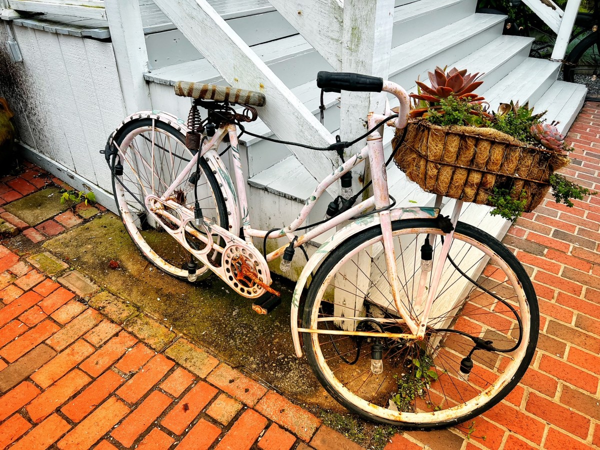 The Martha’s Vineyard&nbsp;Experience